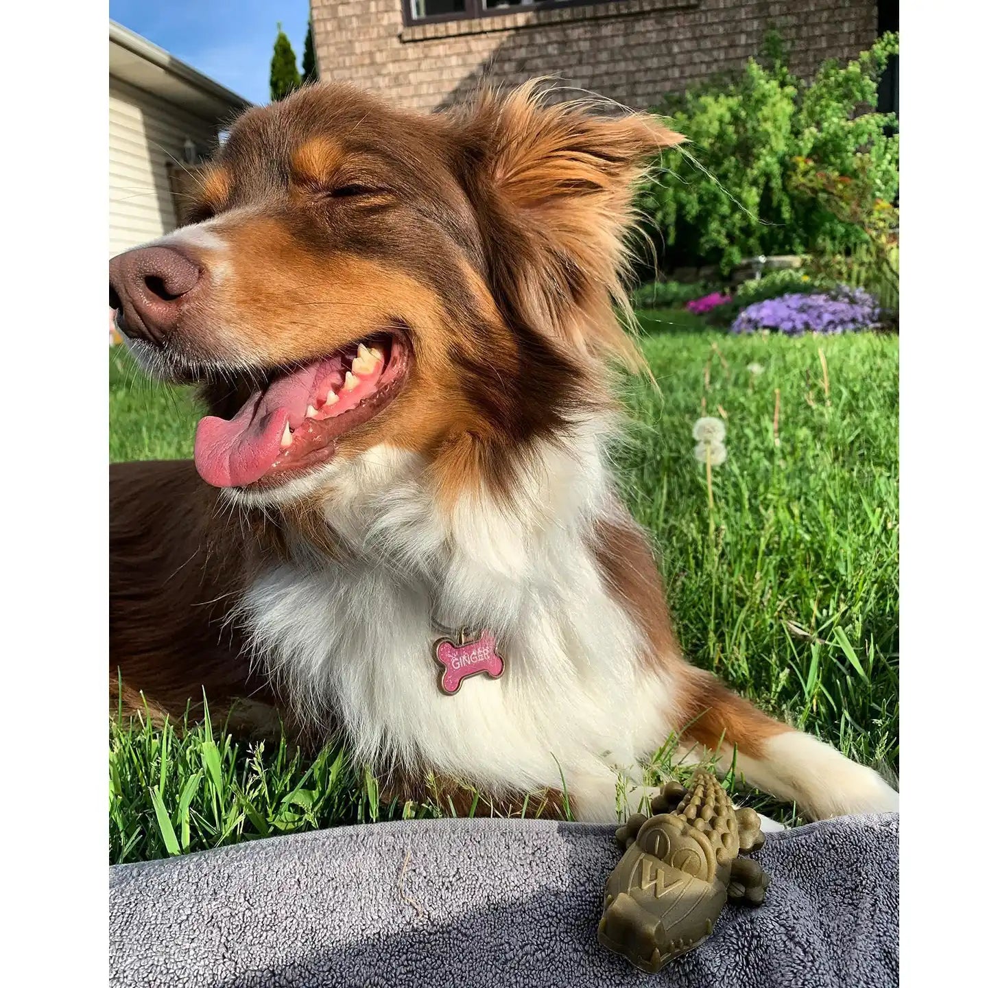 Whimzees – Alligators Small (12.7 oz Bag)