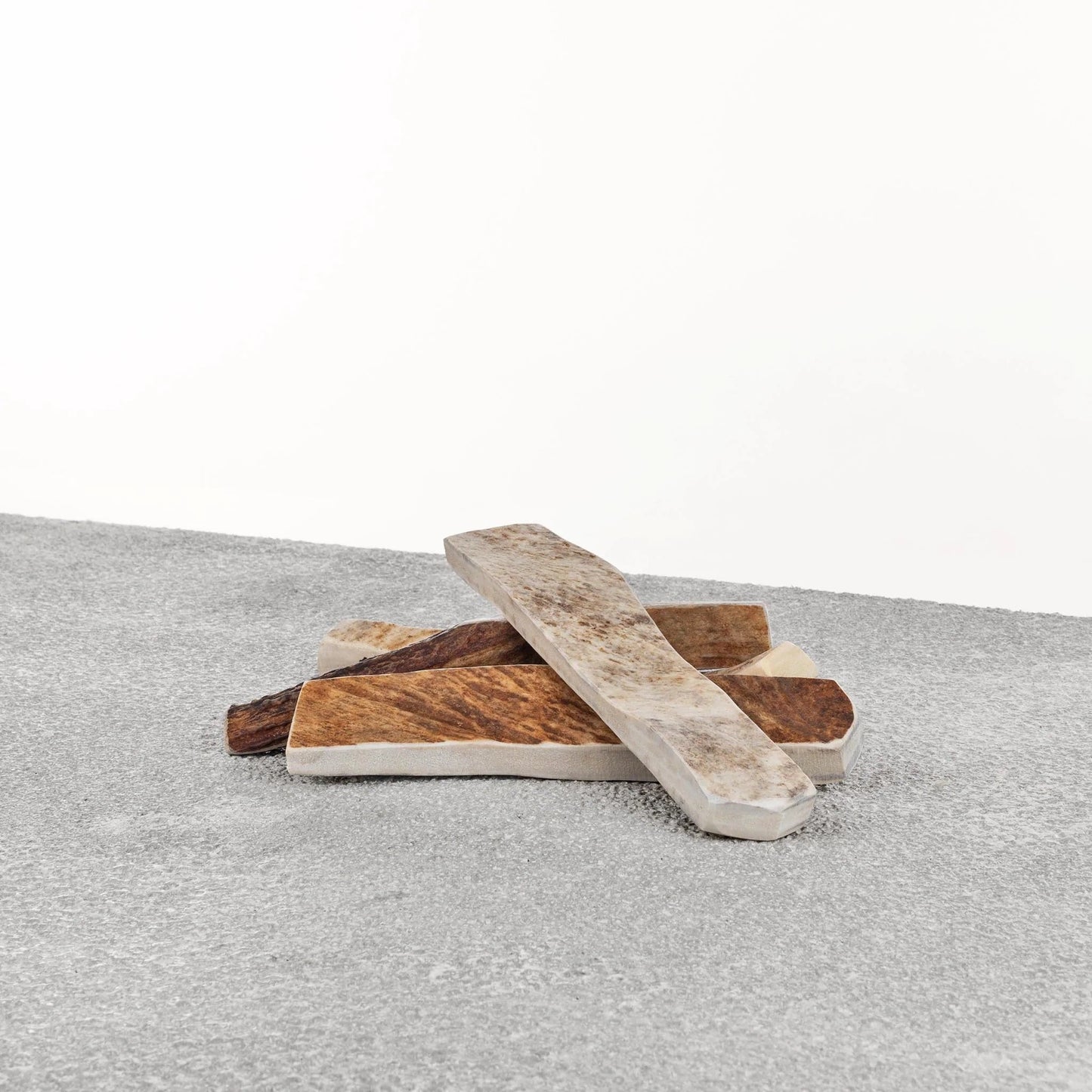 Asta de alce – Grande