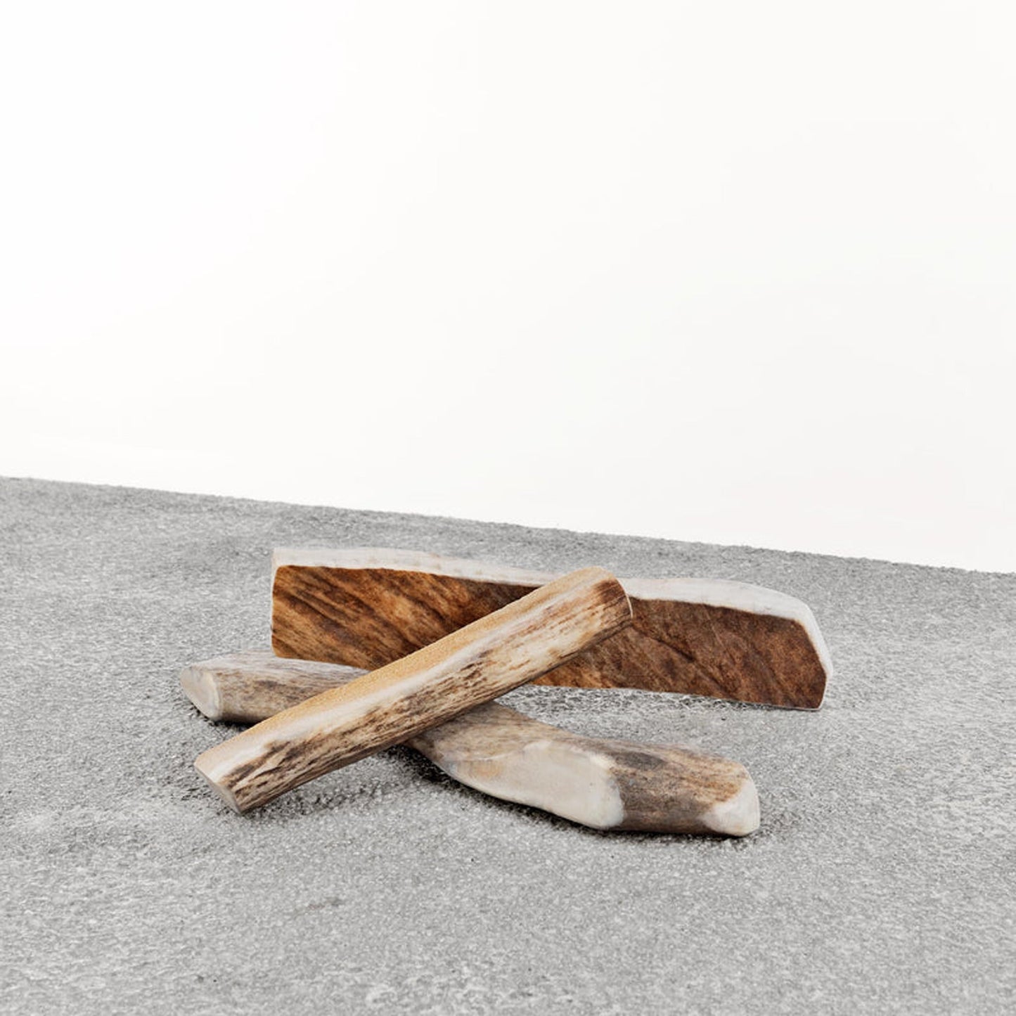 Asta de alce – XL