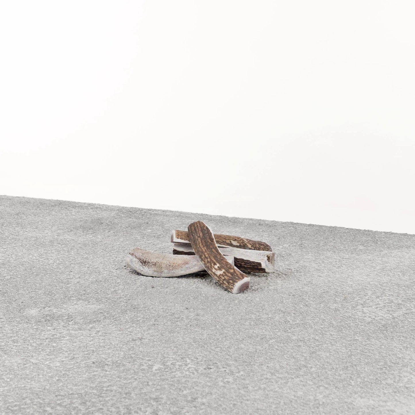 Stag Antler – Small