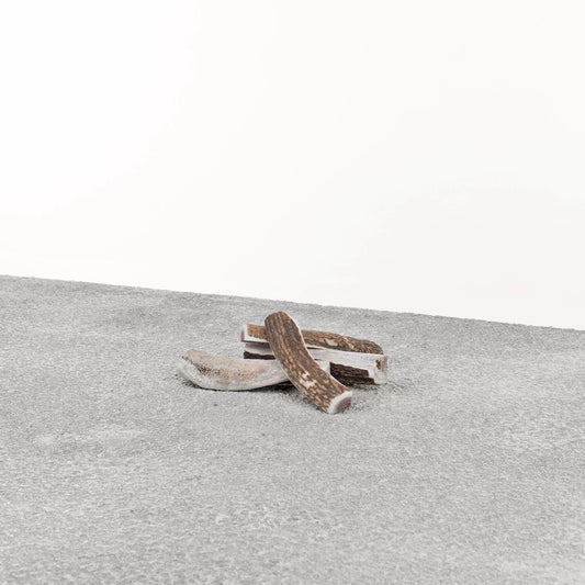 Stag Antler Small