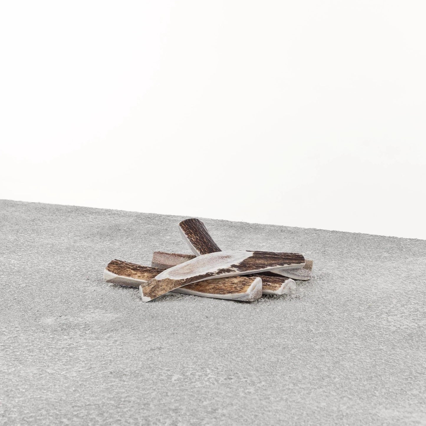 Stag Antler – Medium