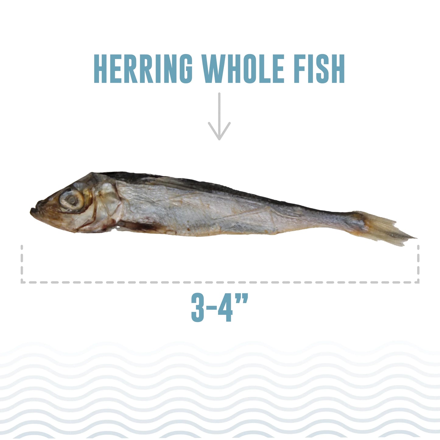 Icelandic+ — Herring Whole Fish Cat Treats (1.5 oz)
