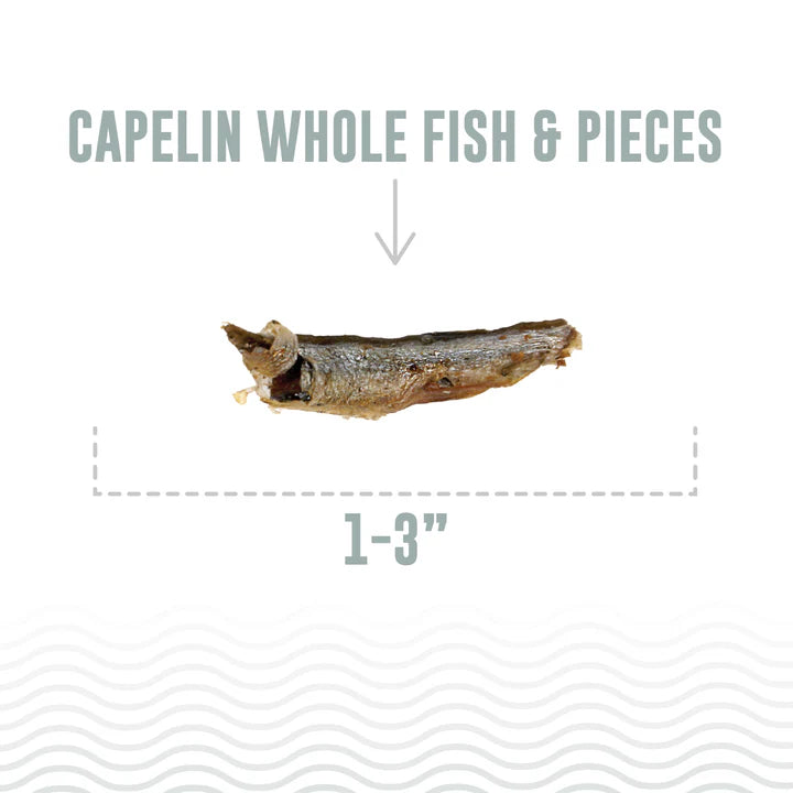 Icelandic+ — Capelin Whole Fish and Pieces Cat Treat (1.5 oz)
