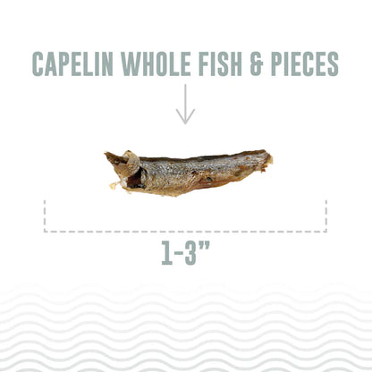 Icelandic+ — Capelin Whole Fish and Pieces Cat Treat (1.5 oz)