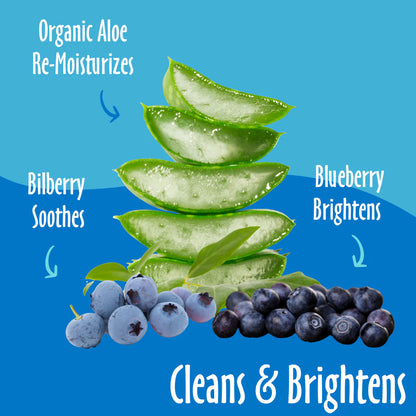 Earthbath – Foaming Facial Wash (Bilberry & Blueberry, 8 oz)