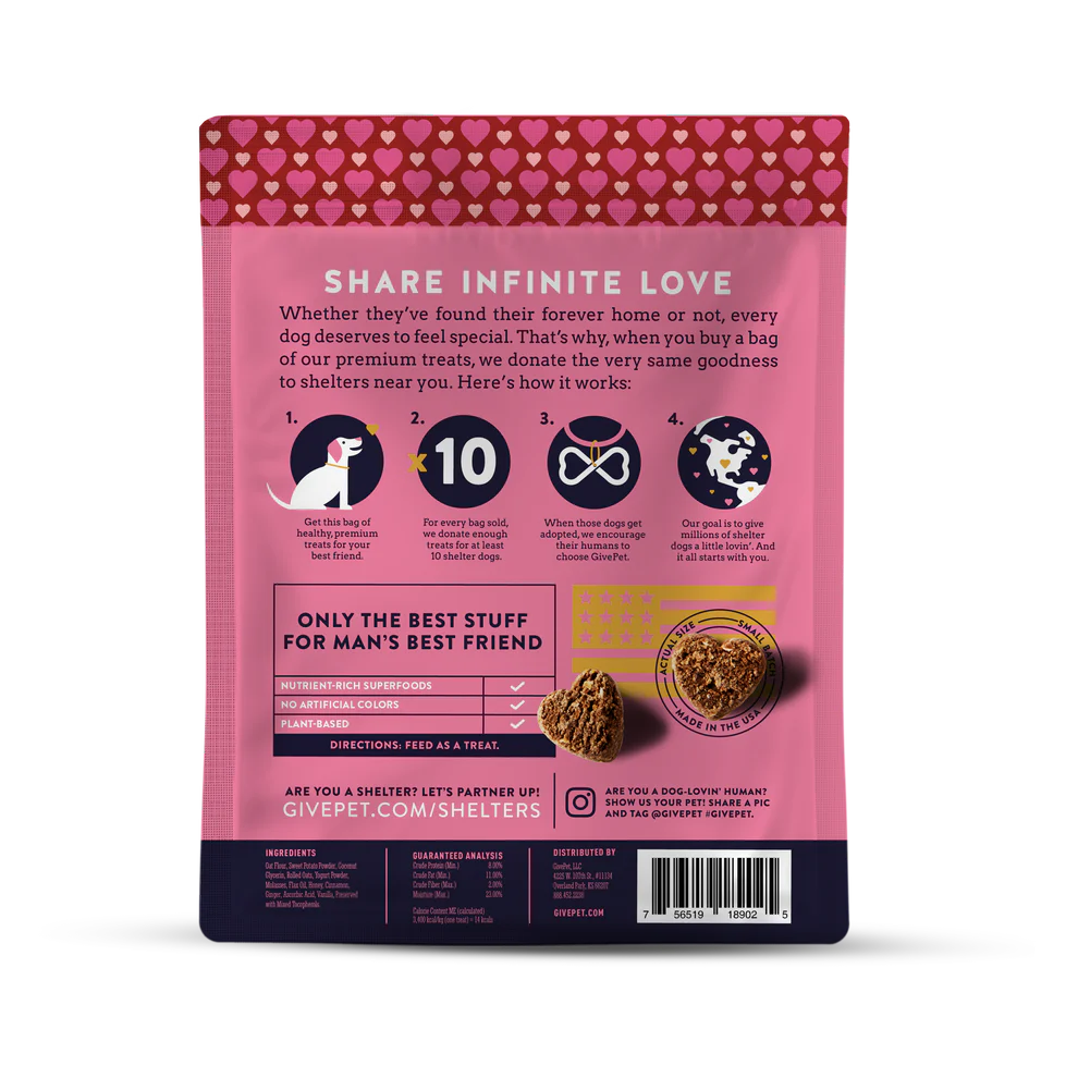 GivePet — Golosinas masticables navideñas para perros (pastel de especias, 177 g)