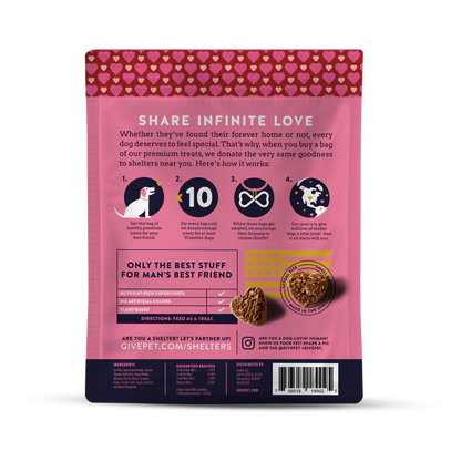 GivePet — Golosinas masticables navideñas para perros (pastel de especias, 177 g)