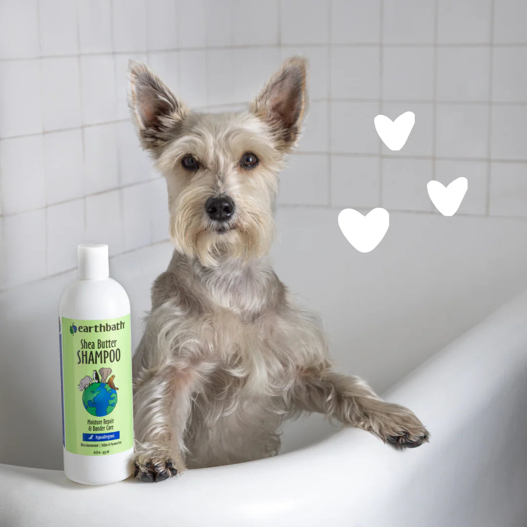 Earthbath – Hypo-Allergenic Shea Butter Shampoo (16 oz)