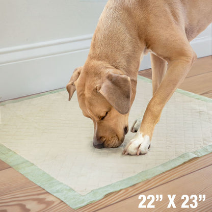 WeeWee Eco Bamboo Dog Pee Pads (22″ × 23″, 32 Count)